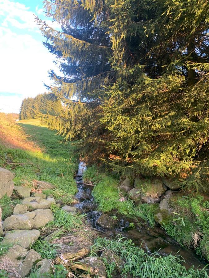 Hillside Nature Bischofsgrün Dış mekan fotoğraf